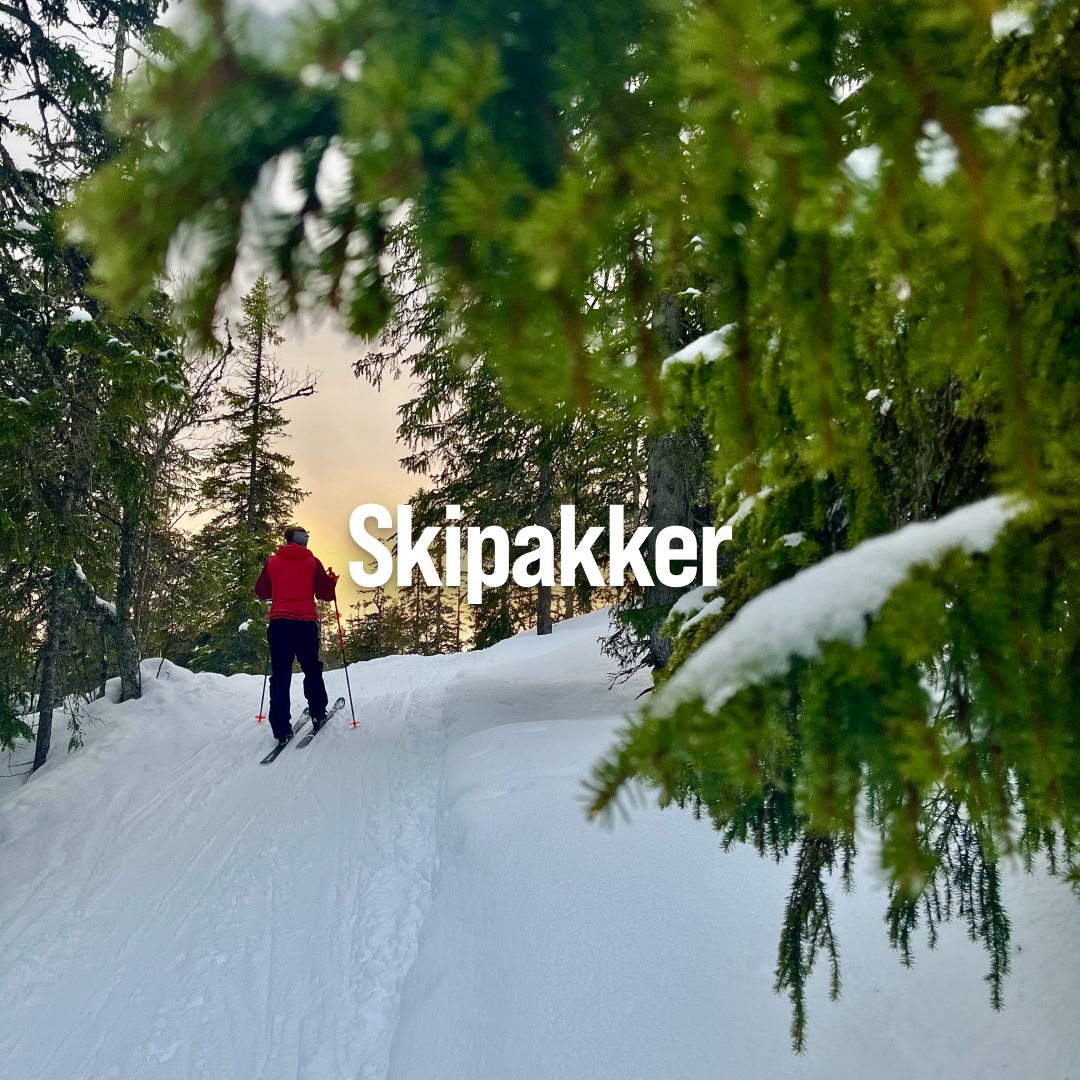 Skipakker_sr.jpg (2)