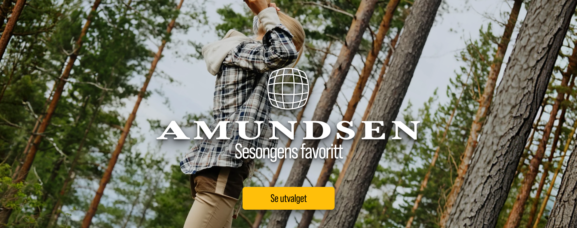 Amundsen banner 11.png