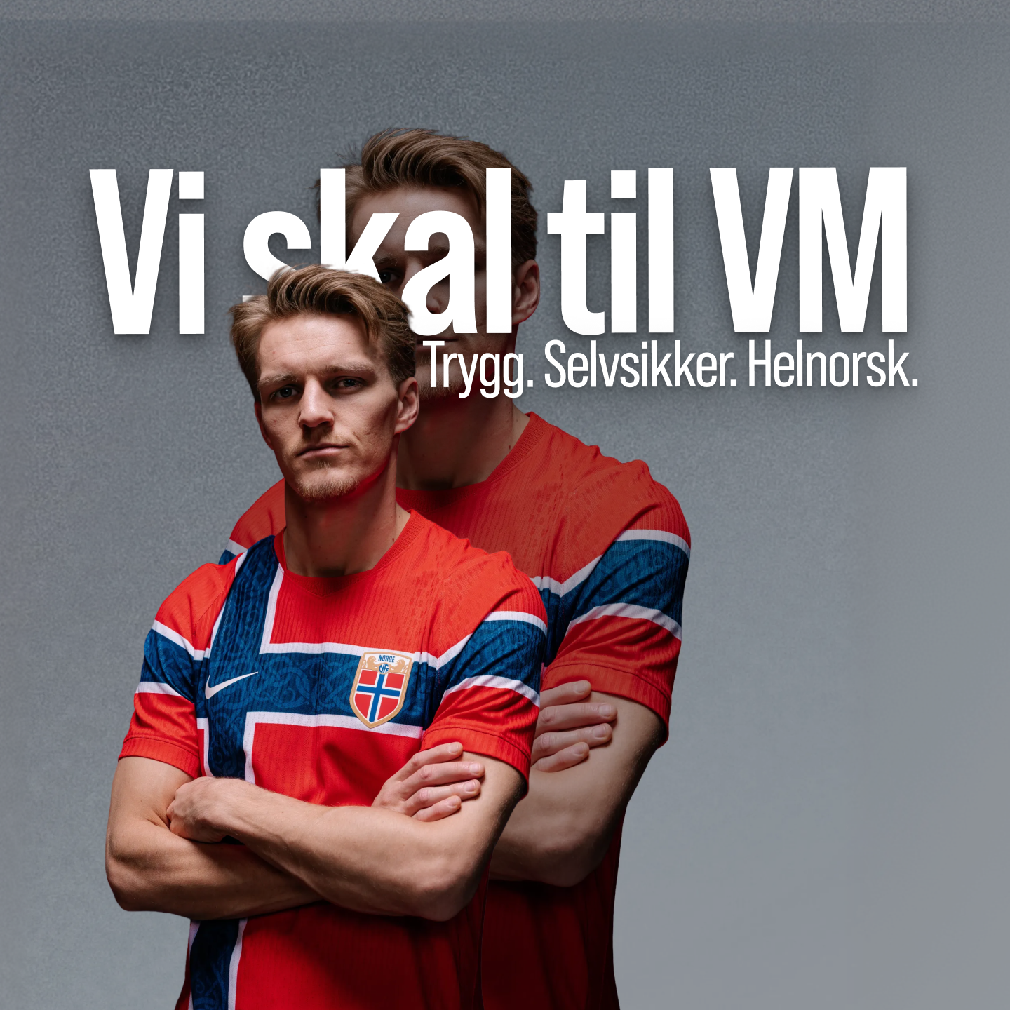 vm.png