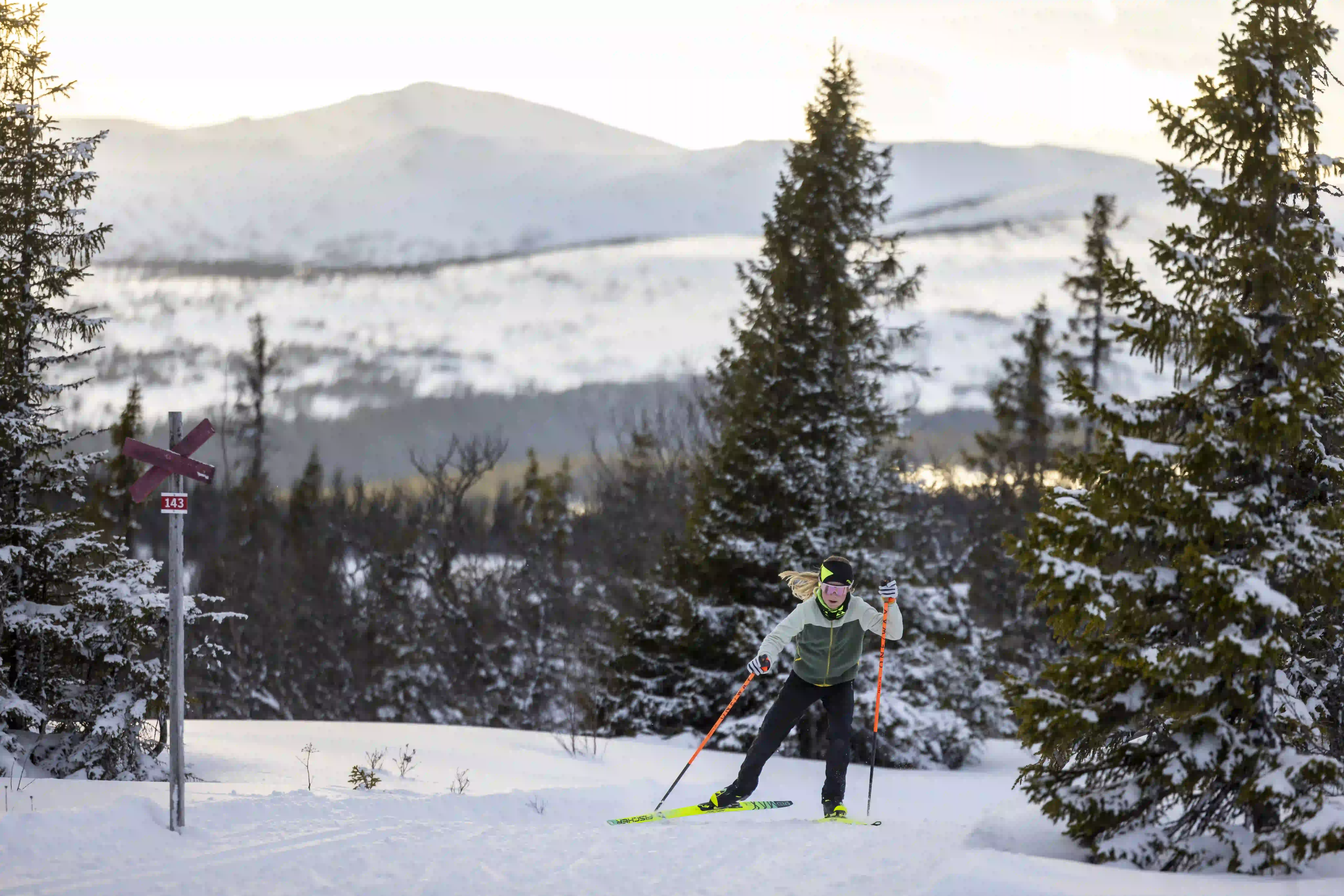 nordic junior 13 original kopi.webp