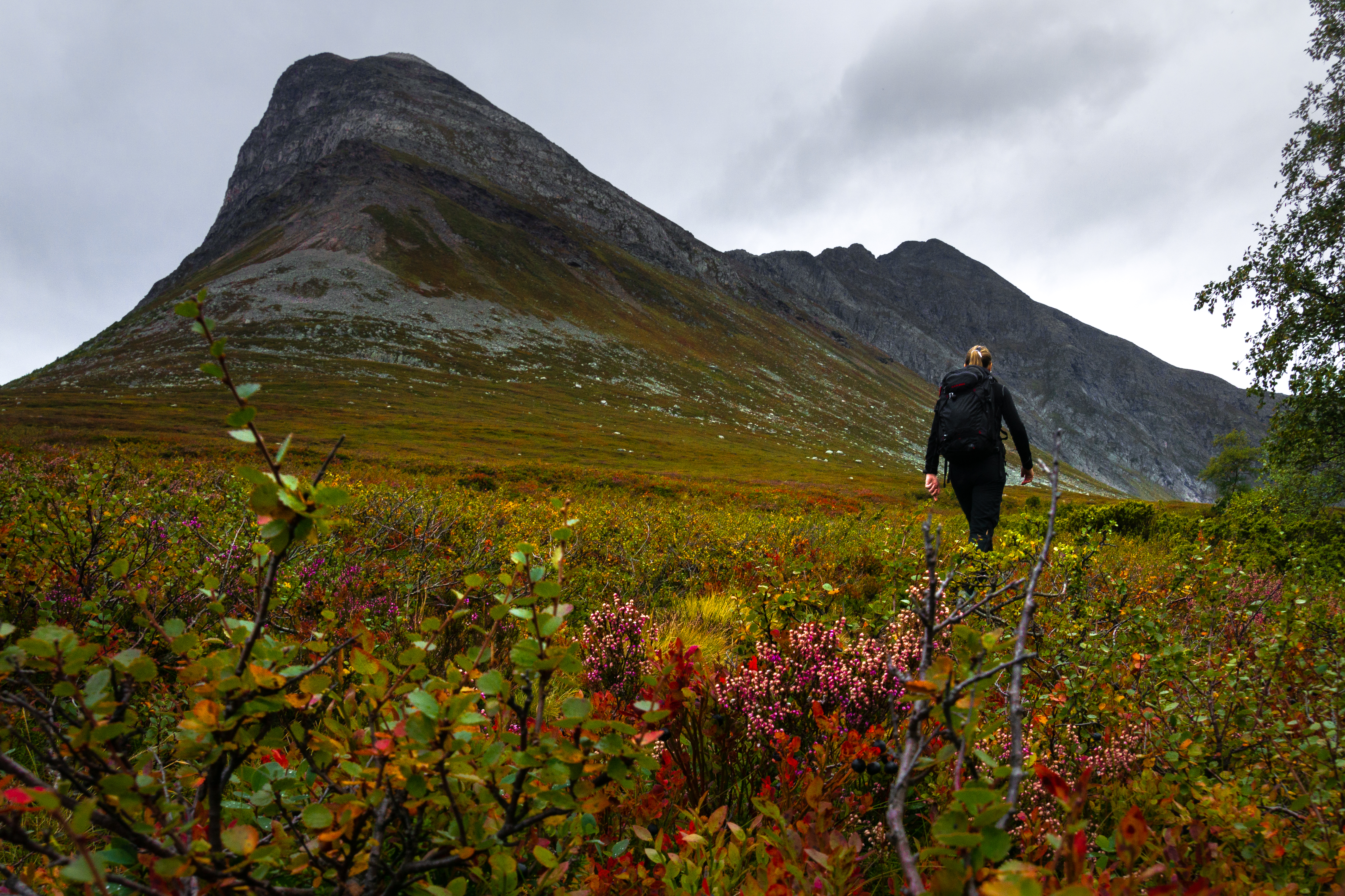 Bilde 06.09.2021, 15 13 58