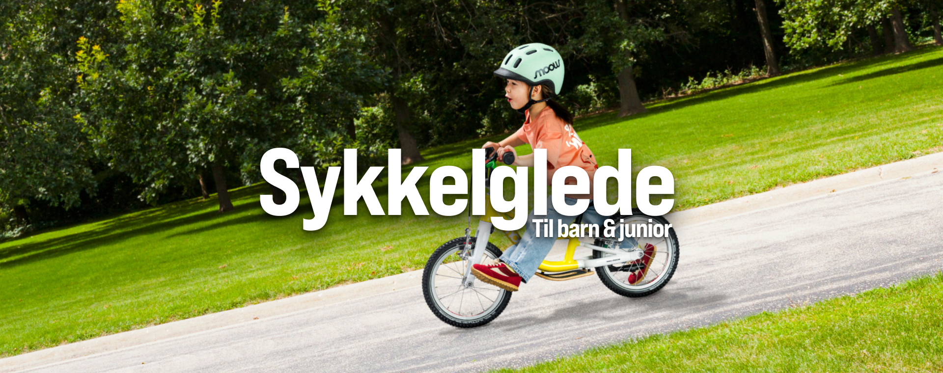 Sykkelglede topp 2.png (1)