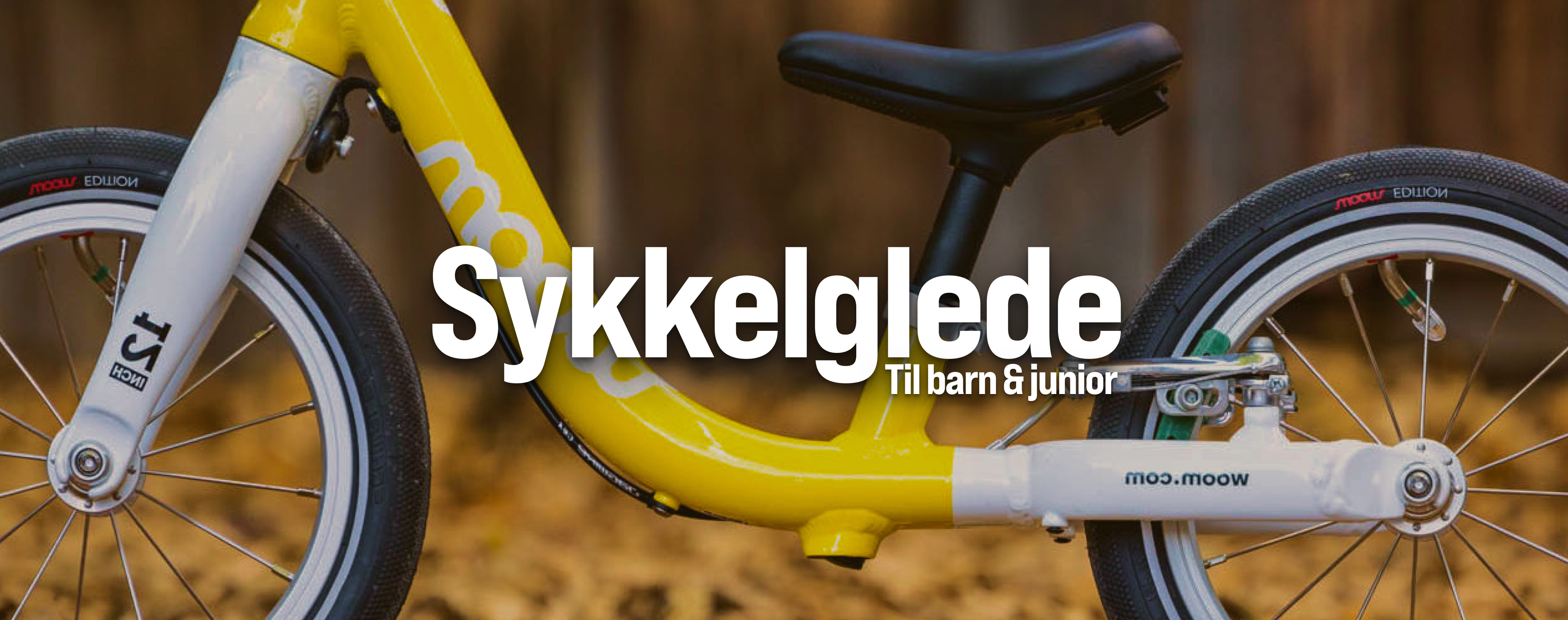 Sykkelglede topp 3.png