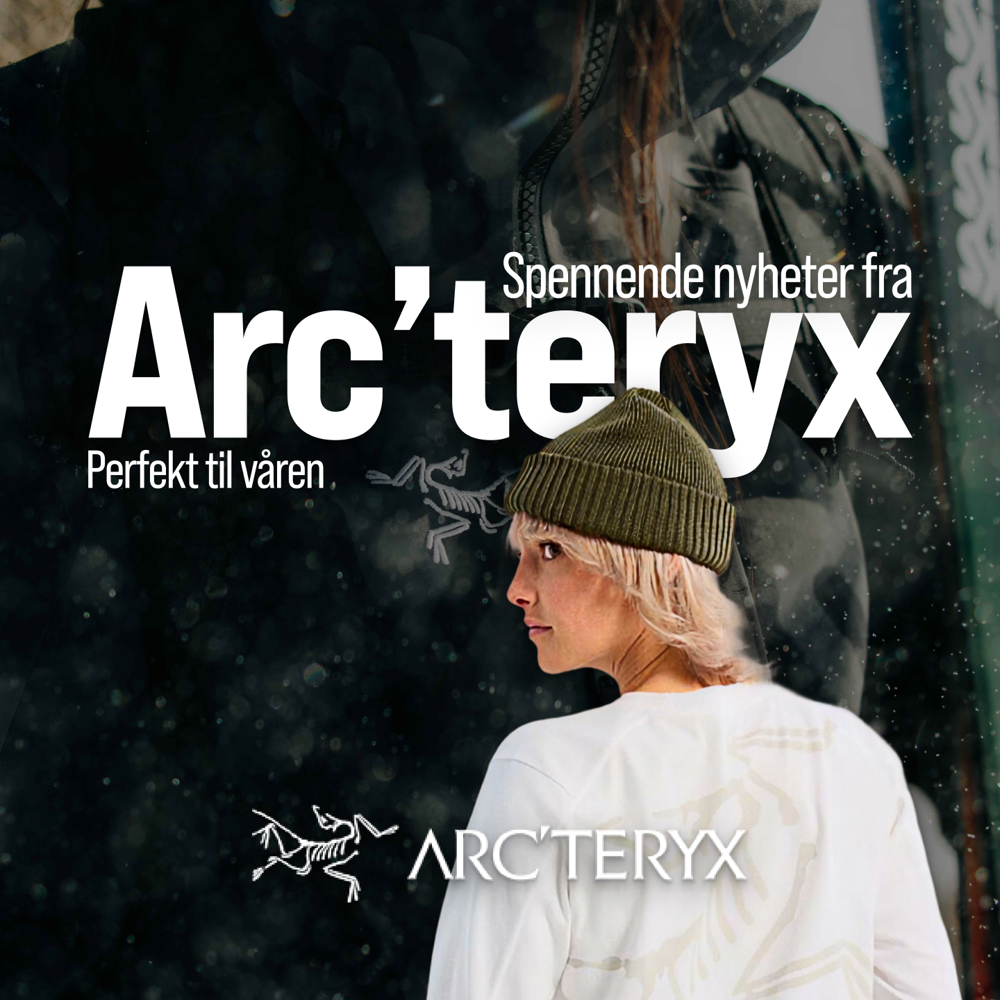 Arcteryx.png