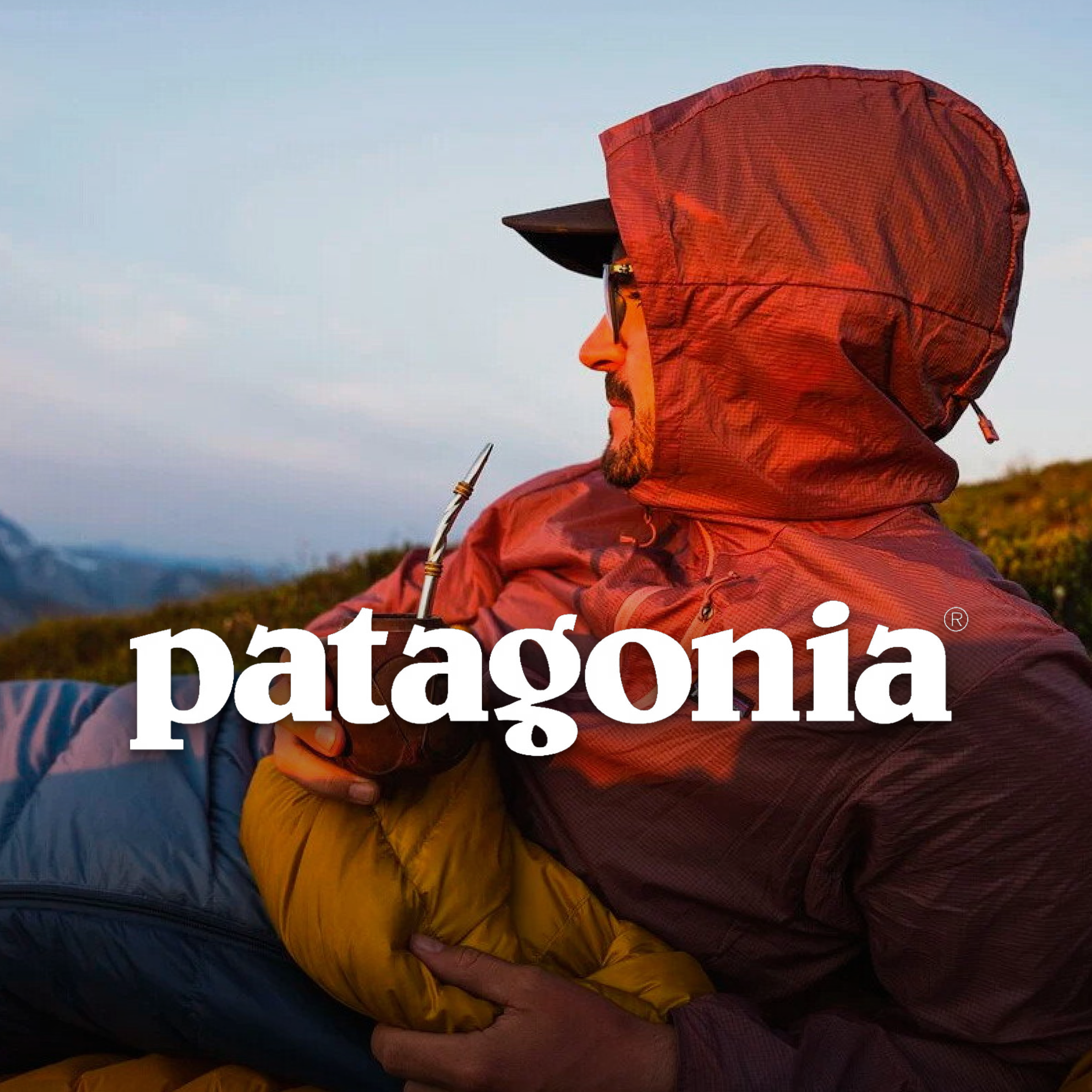 patagonia 4.png
