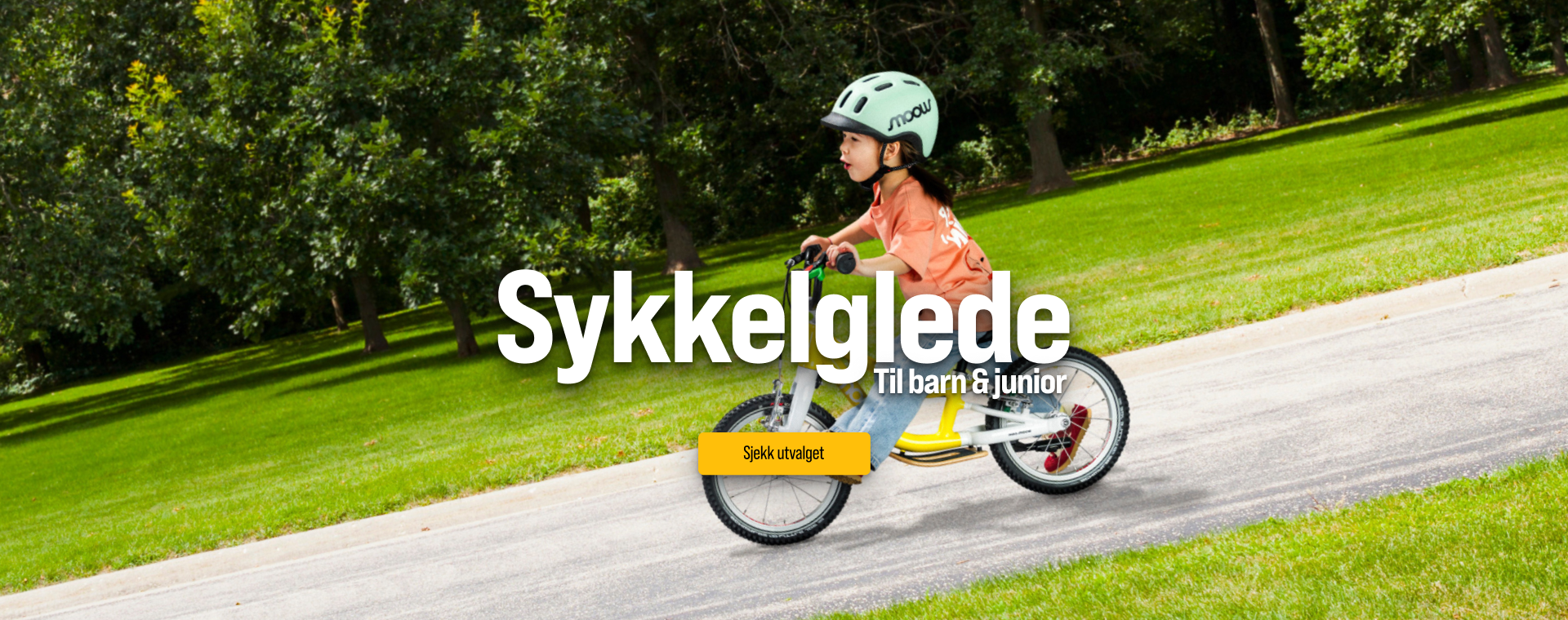Sykkelglede.png