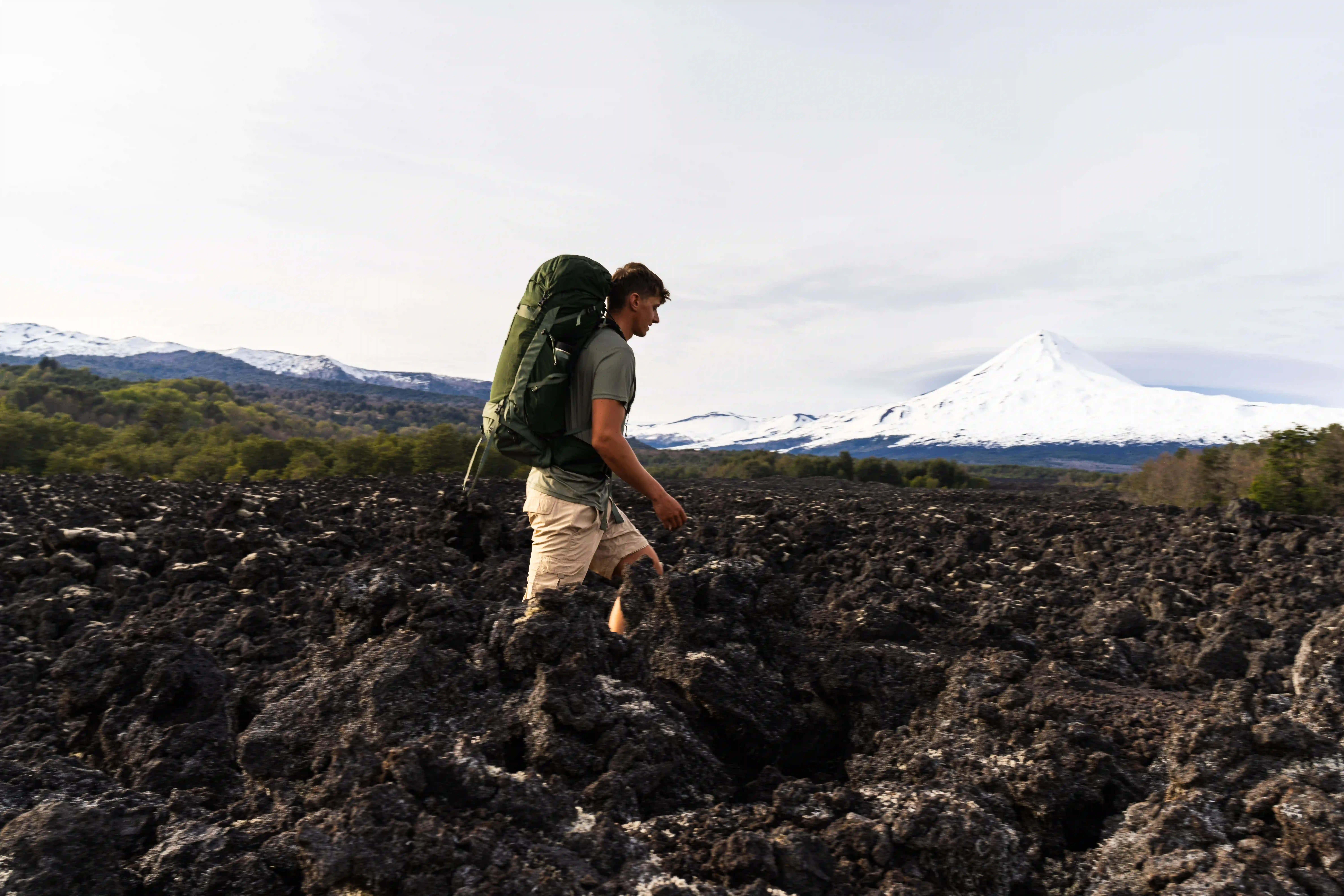 S25 Talon 44 L XL Green Canopy Pine Leaf 10006785 Garvana 7 Kopi