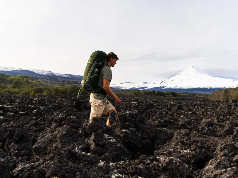 S25 Talon 44 L XL Green Canopy Pine Leaf 10006785 Garvana 7 Kopi