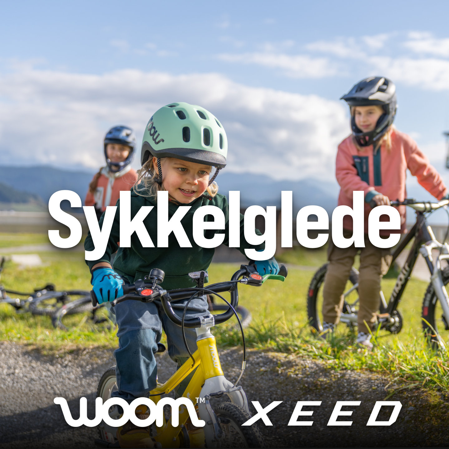 skykkelglede.png