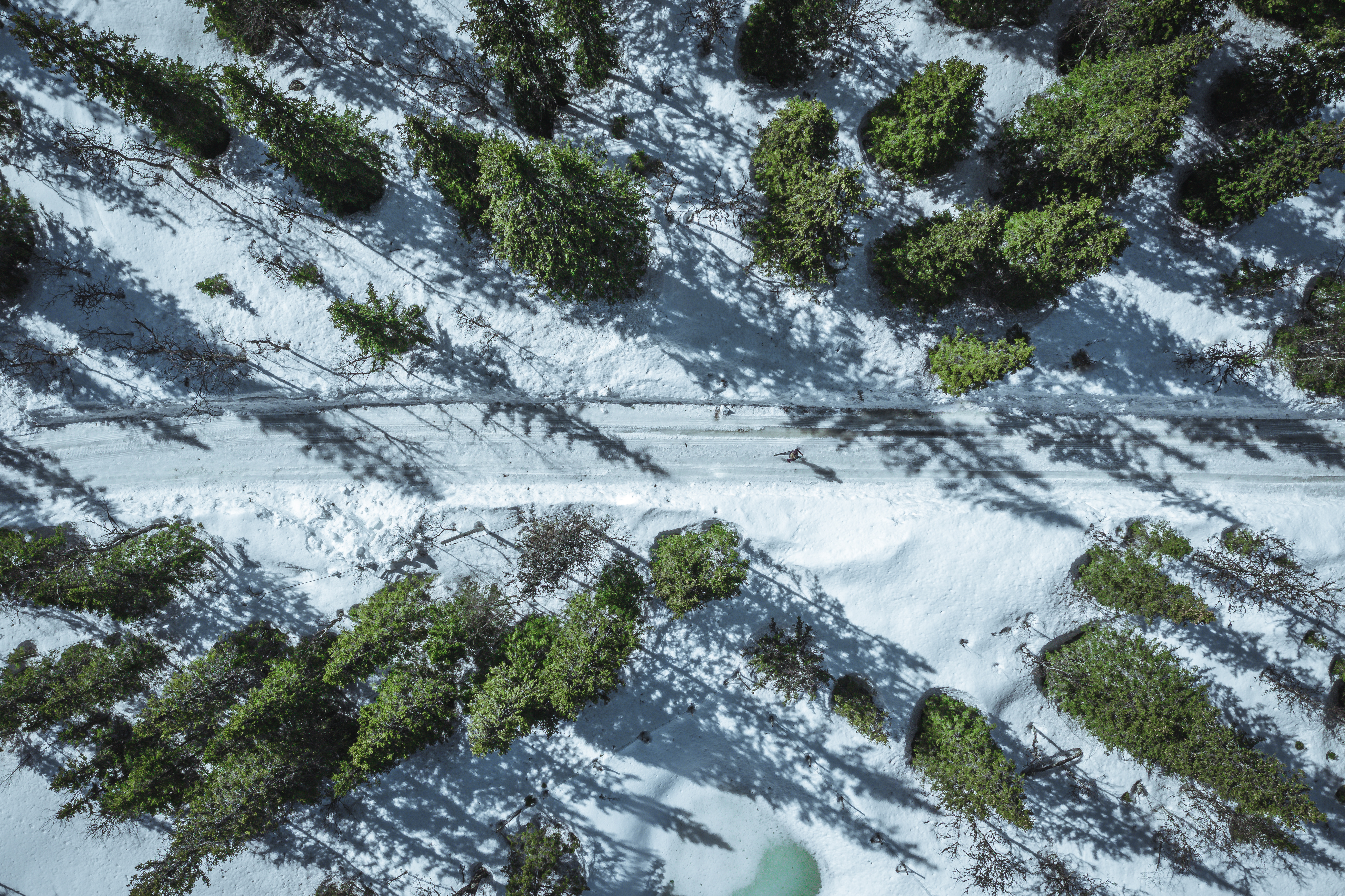 Newrun M Newrun W DJI 0377@Fotojakobedholm