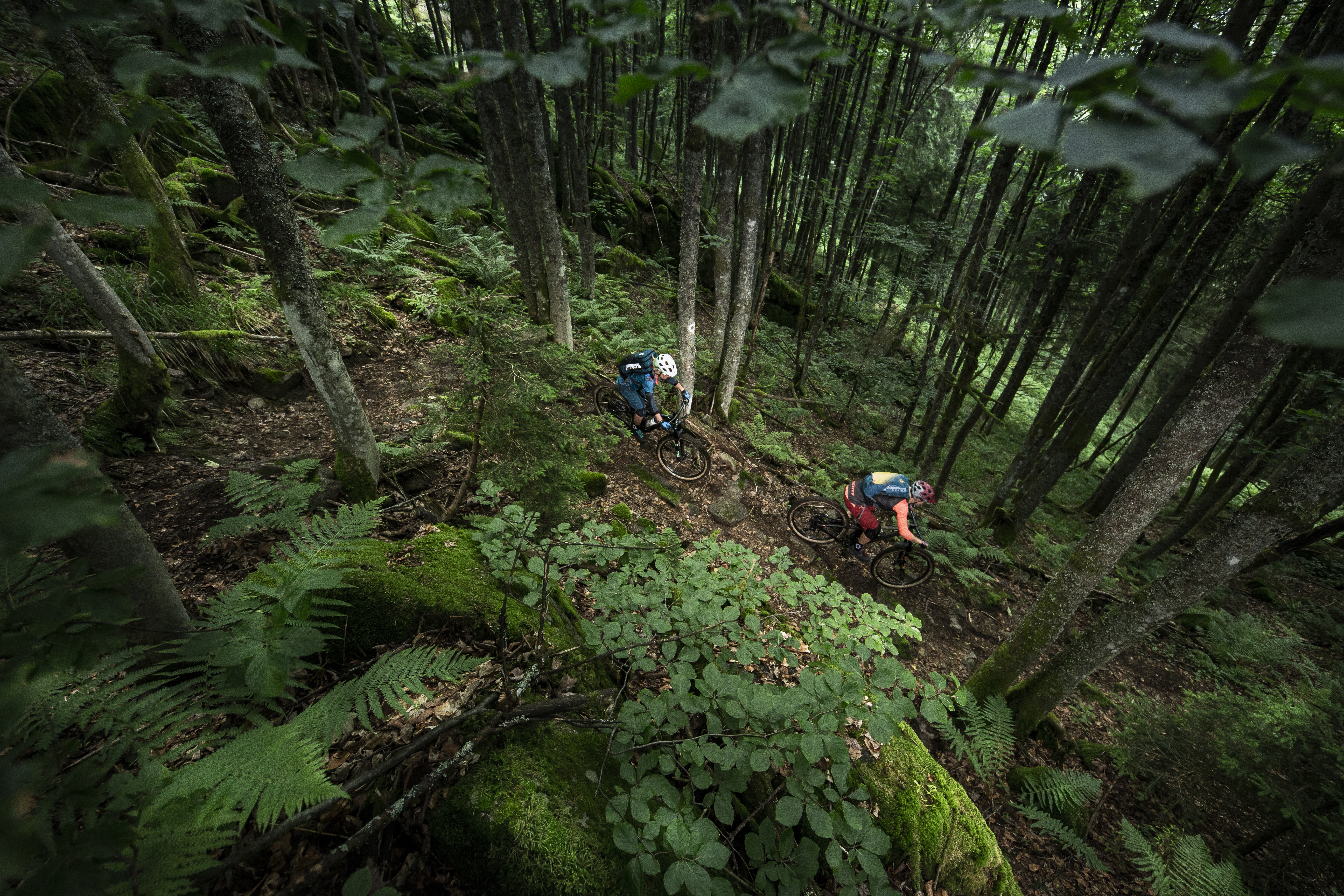 Genius Shoot SCOTT Sports 2019 Bike By Gaudenz DANUSER 180605191001