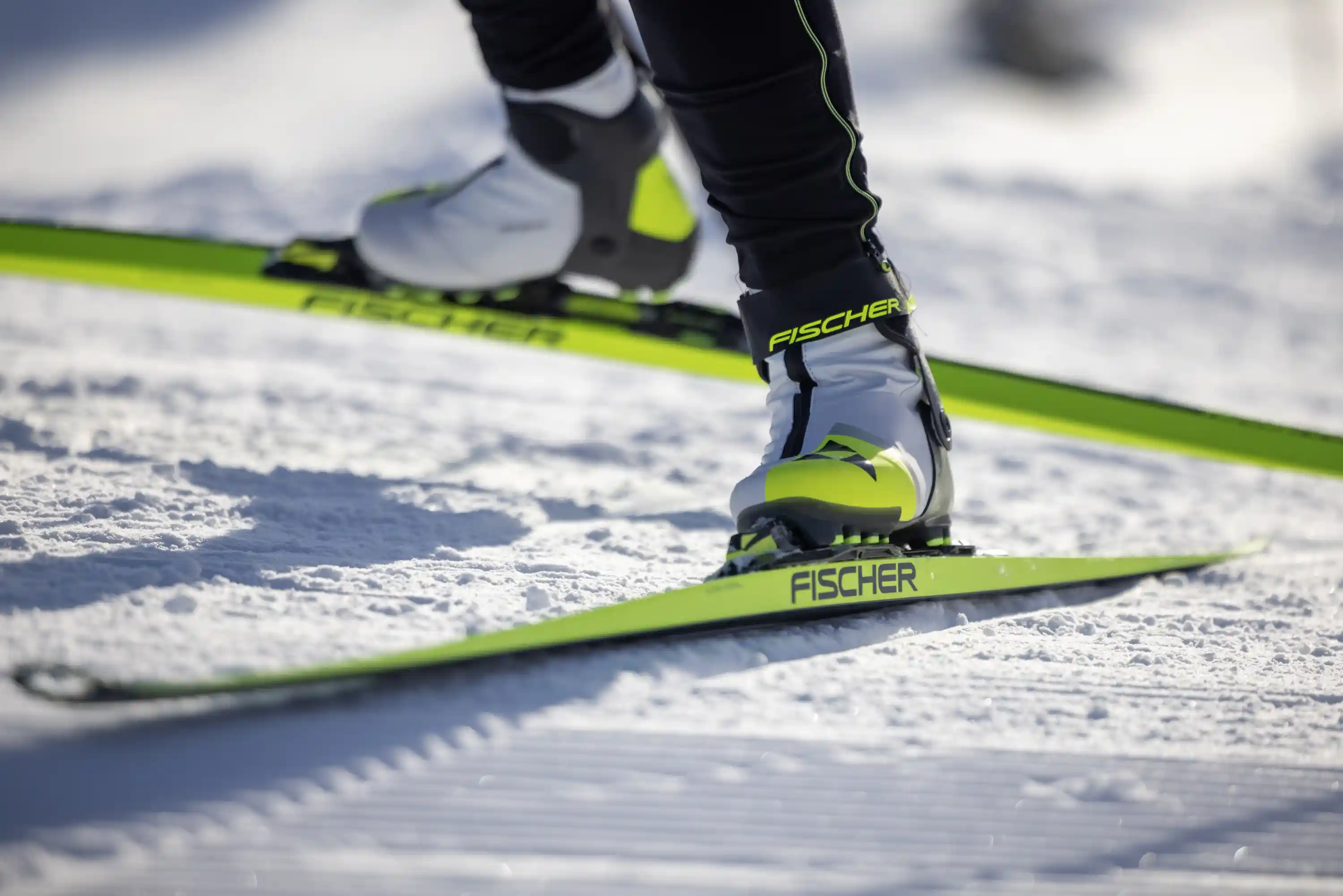 Fischer@Henriktrygg 0