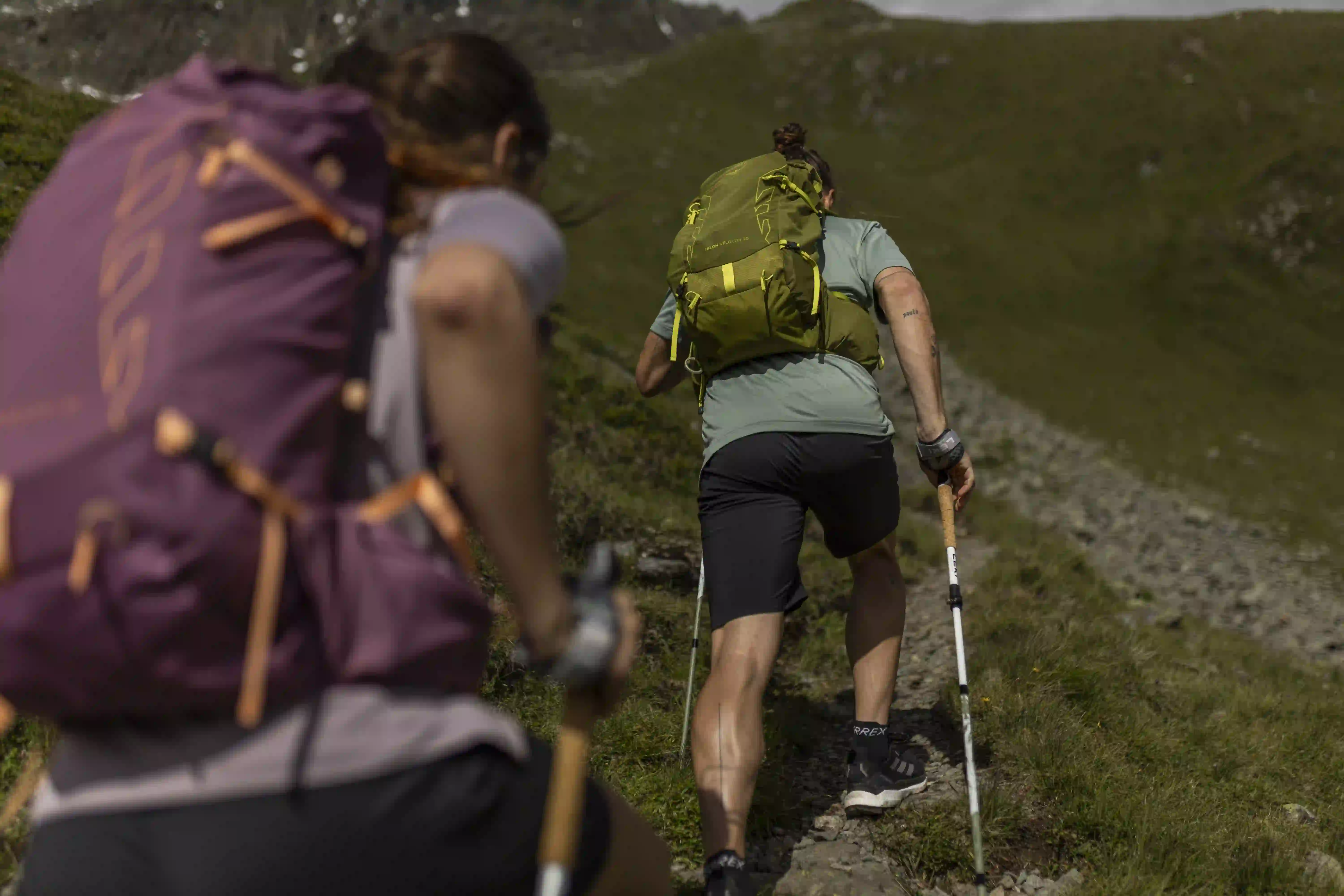 S24 Talon Velocity Matcha Green Lemongrass 10005886 Helge Röske (25) Kopi