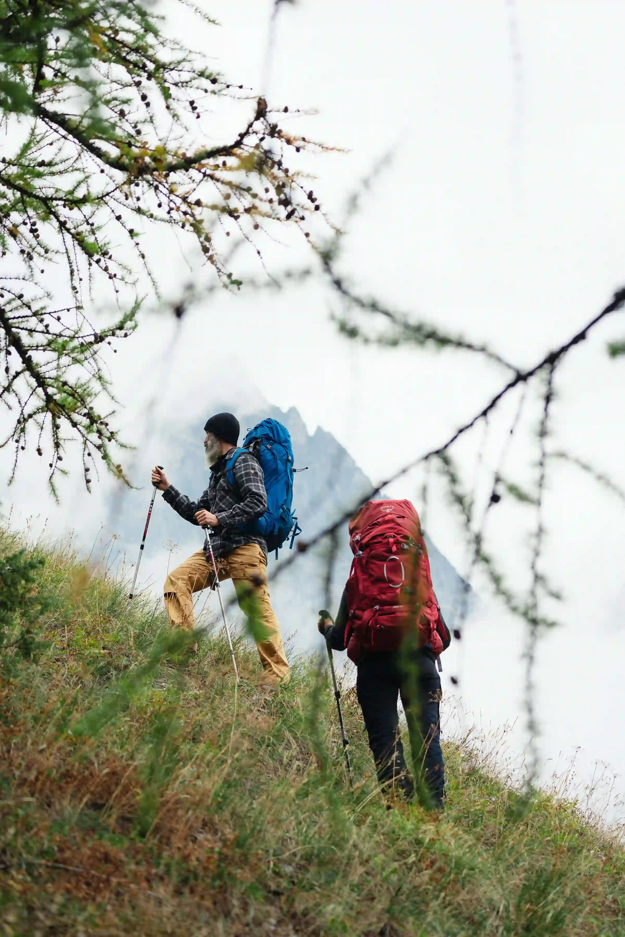 S24 Ariel 65 Claret Red 10002883 Clementhodgkinson 5 Kopi