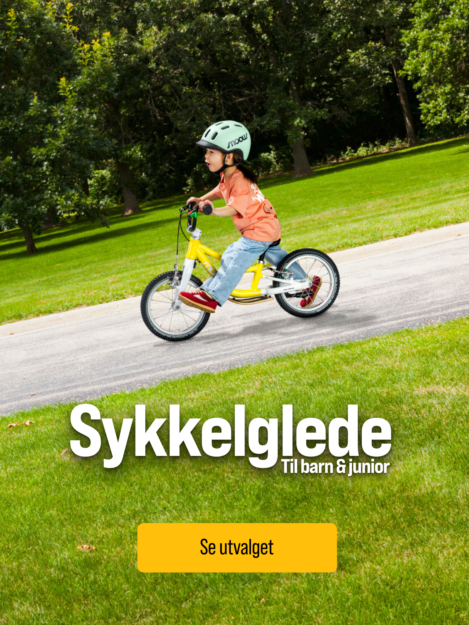 Sykkel barn 2.png