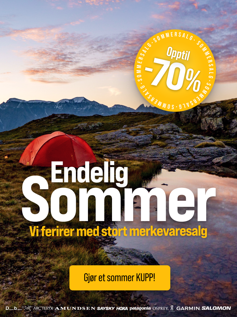 sommersalg 11.png